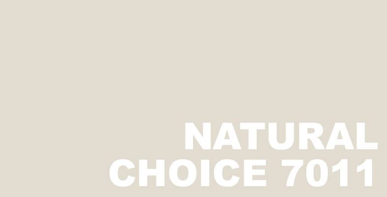 Stucco Color: Natural Choice